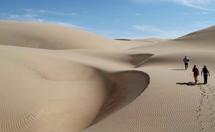 The dunes take shapes of great beauty and walking on them is a great experience | Responsible Travel Peru