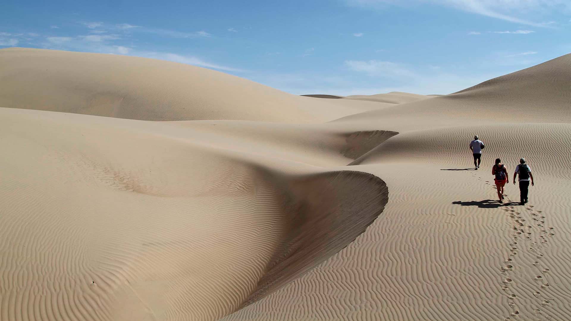 11The dunes take shapes of great beauty and walking on them is a great experience | Responsible Travel Peru