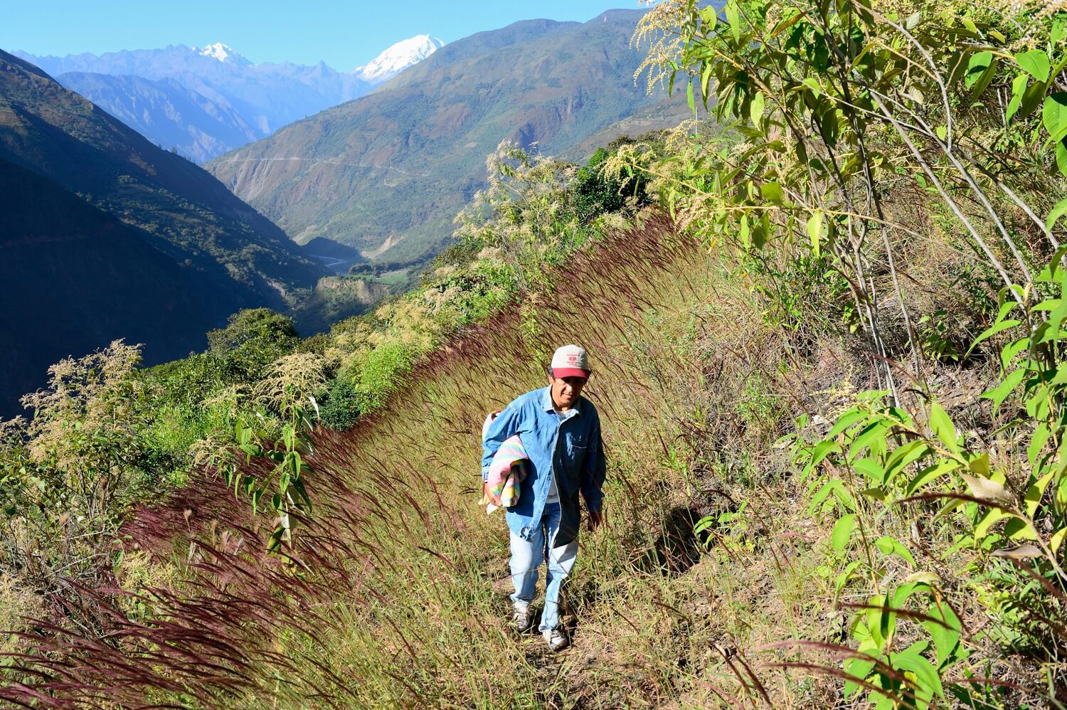 11Alejandro the coffee farmer walking you up to his coffee plantations - RESPONSible Travel Peru