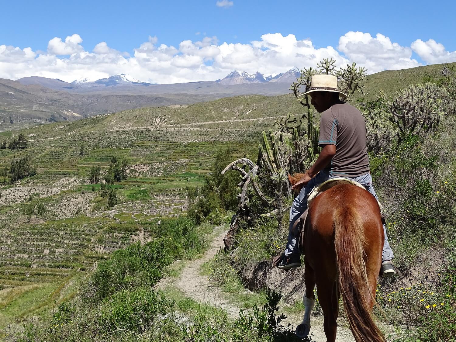 11Horseriding through the terraces of the Colca Canyon with volcanoes on the background, as part of a homestay programme with RESPONSible Travel Peru