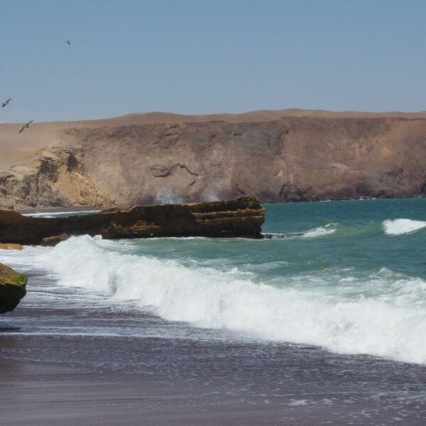 The coast of Paracas National Park - RESPONSible Travel Peru