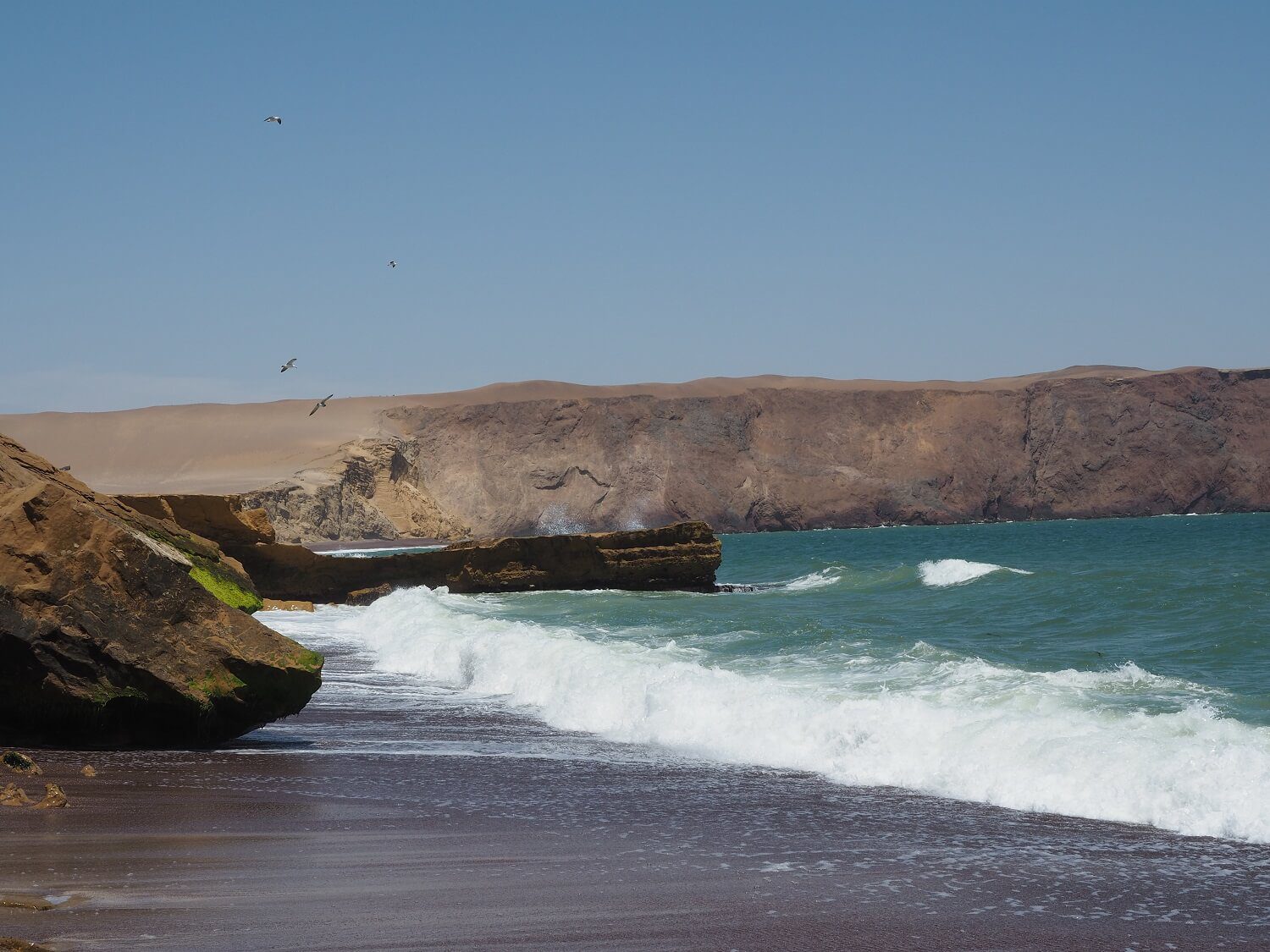 The coast of Paracas National Park - RESPONSible Travel Peru