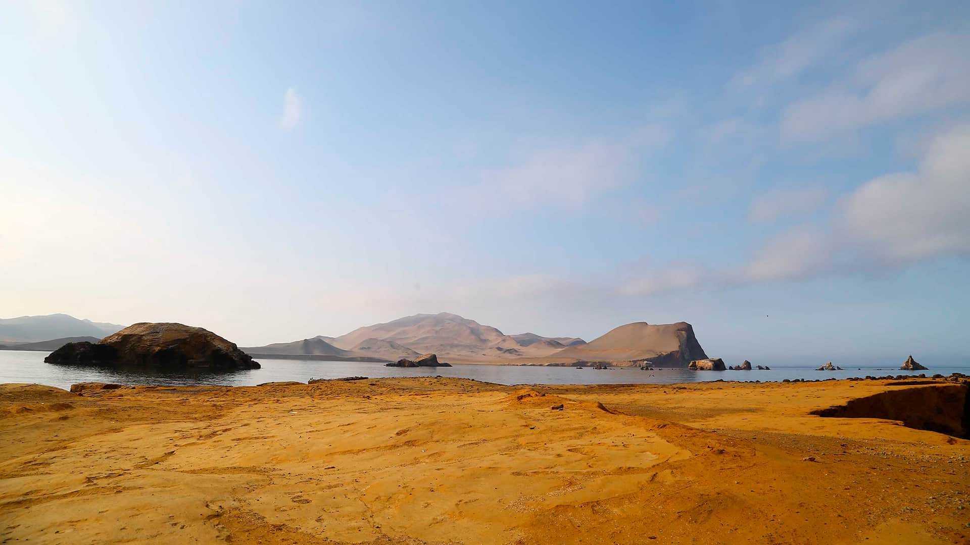 11Paracas National Reserve shows you idyllic landscapes where the desert and the sea meet | Responsible Travel Peru