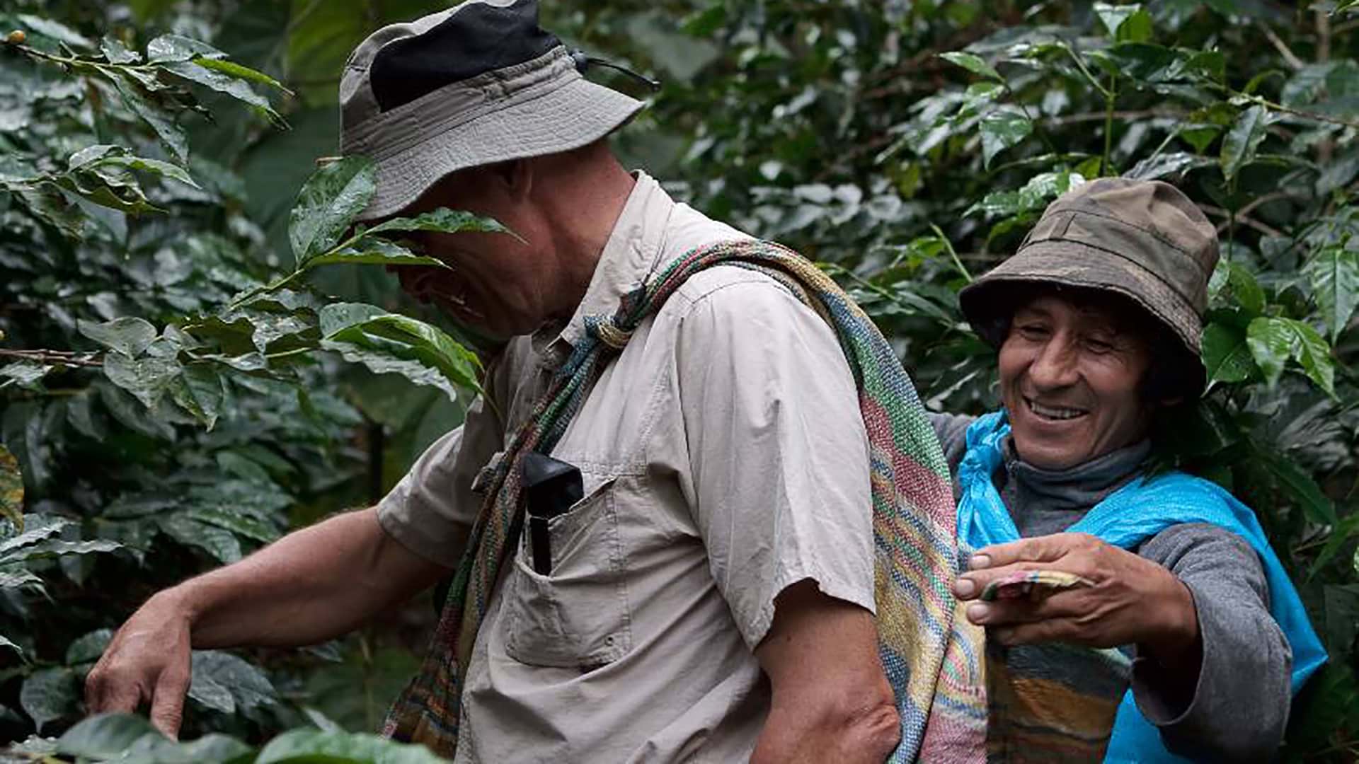 11Tourist learning about harvesting coffee beans and making coffee on the Coffee Route to Machu Picchu - RESPONSible Travel Peru