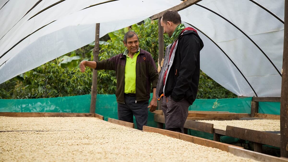 11Enrique and Alejandro check out the drying coffee beans - Coffee Route - RESPONSible Travel Peru