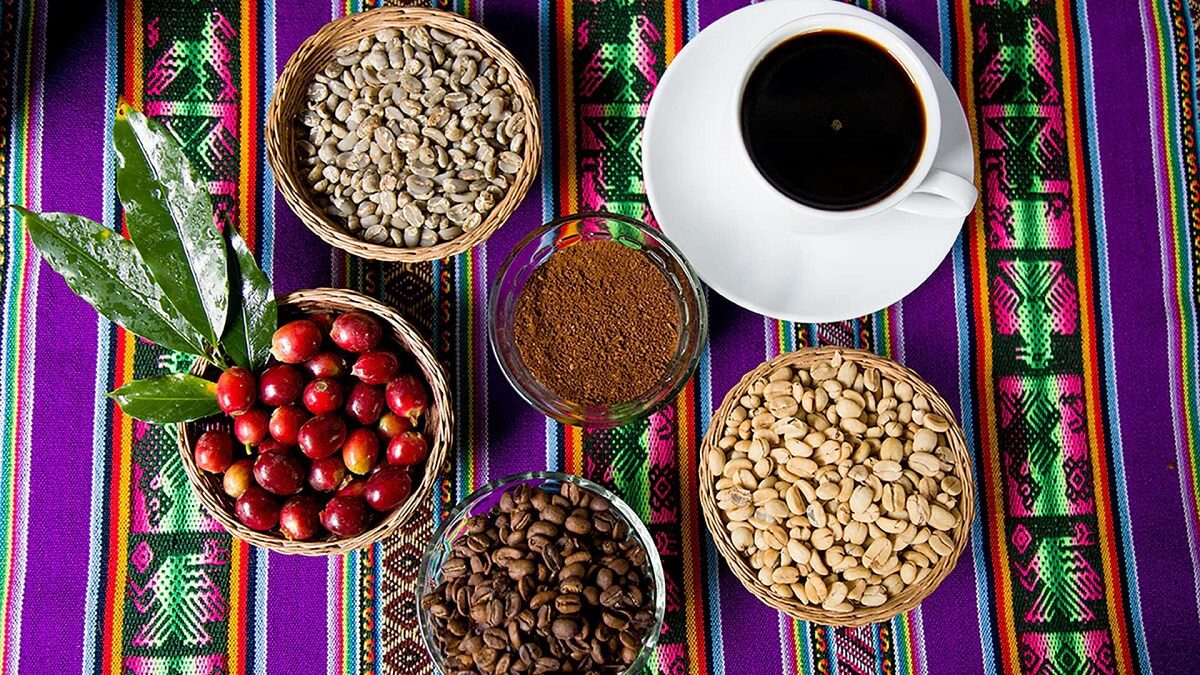11You'll learn about all the stages from bean to cup - Coffee Route - RESPONSible Travel Peru