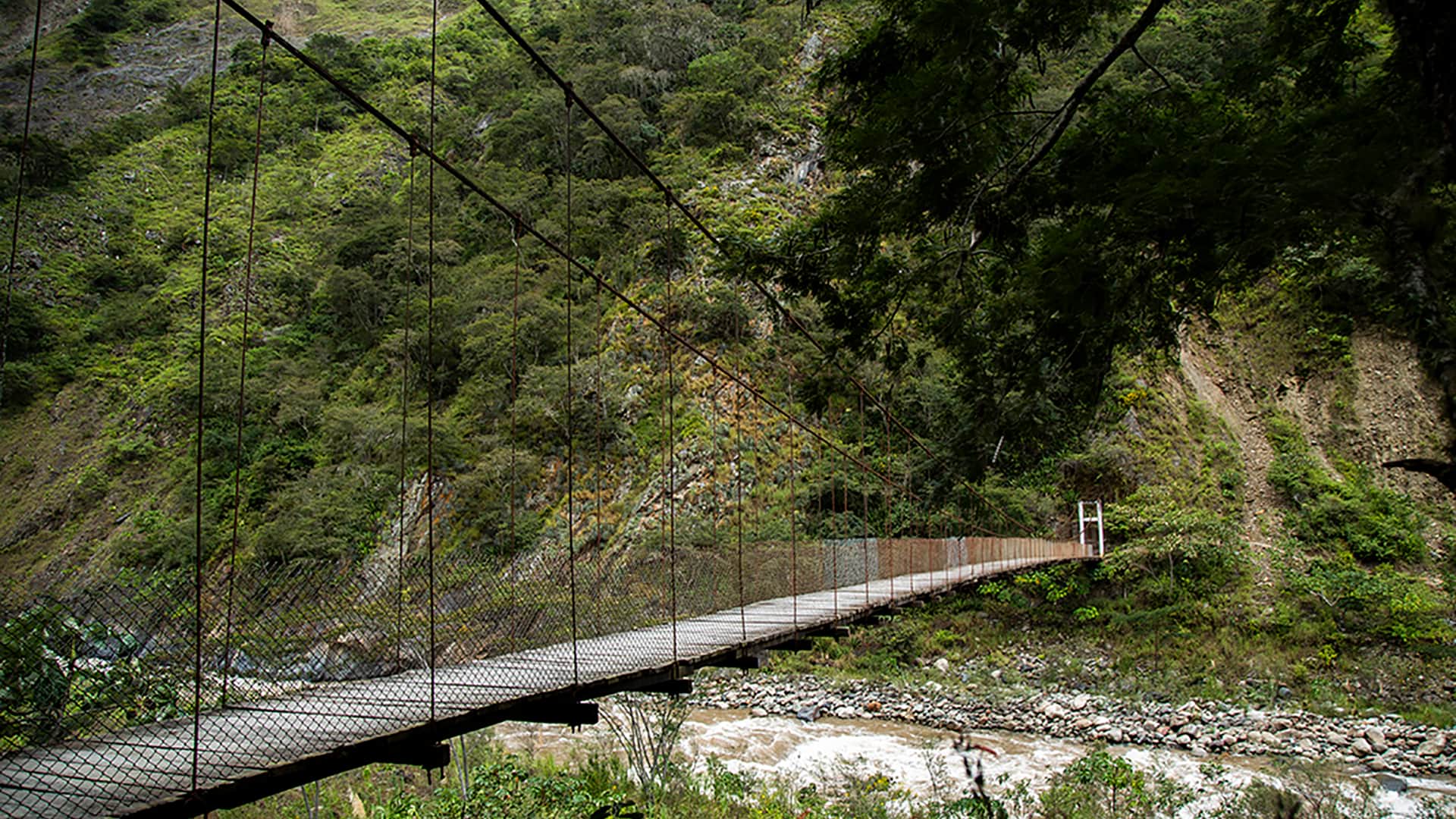 11Rope bridge over the Vilcanota River on the Coffee Route to Machu Picchu - RESPONSible Travel Peru