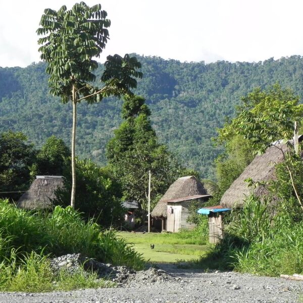 A village in the Manu jungle. Community-based tourism in the jungle. - RESPONSible Travel Peru
