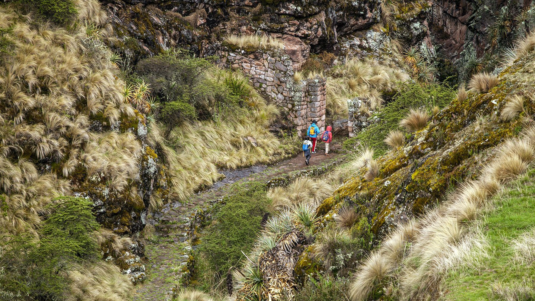 Walking along an Inka trail is a unique experience surrounded by endemic nature of great value | Responsible Travel Peru