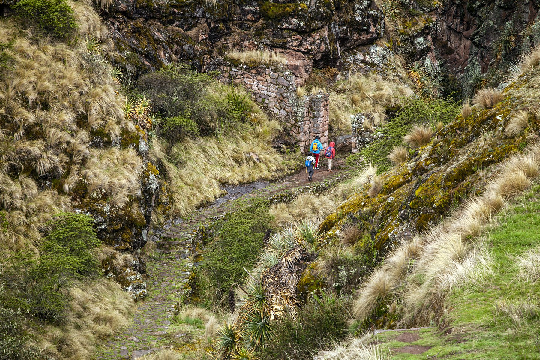 11Walking along an Inka trail is a unique experience surrounded by endemic nature of great value | Responsible Travel Peru