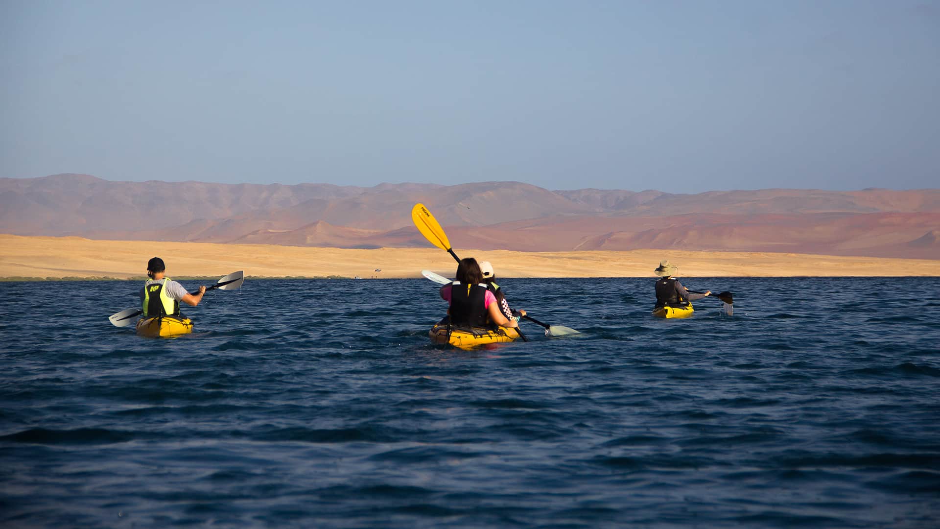 11Kayakers from the back paddliing towards the mountanous desert coast of Paracas | Responsible Travel Peru