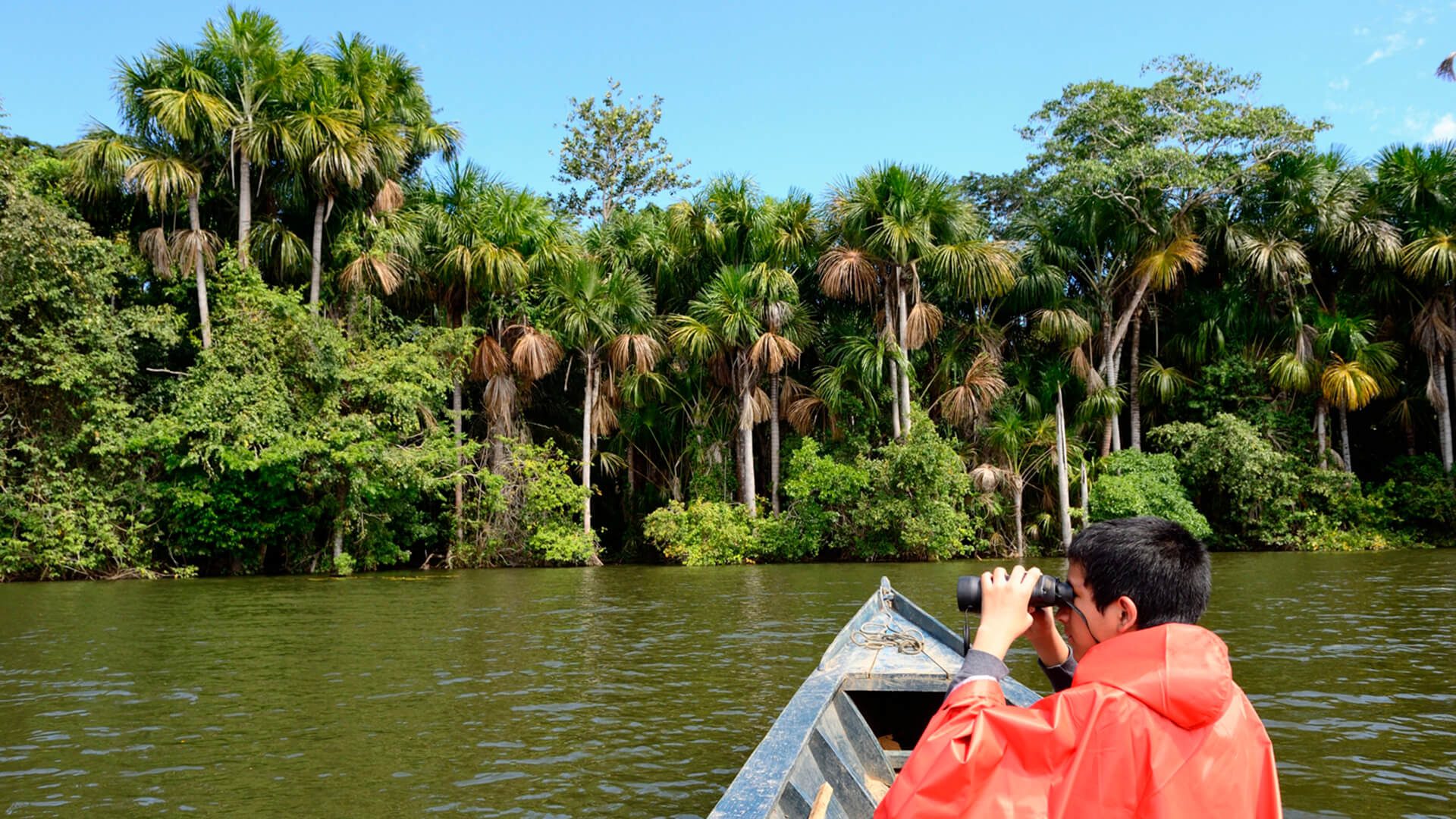 11Man with binoculars on a boat in Sandoval lake - Tambopata National Reserve | Responsible Travel Peru