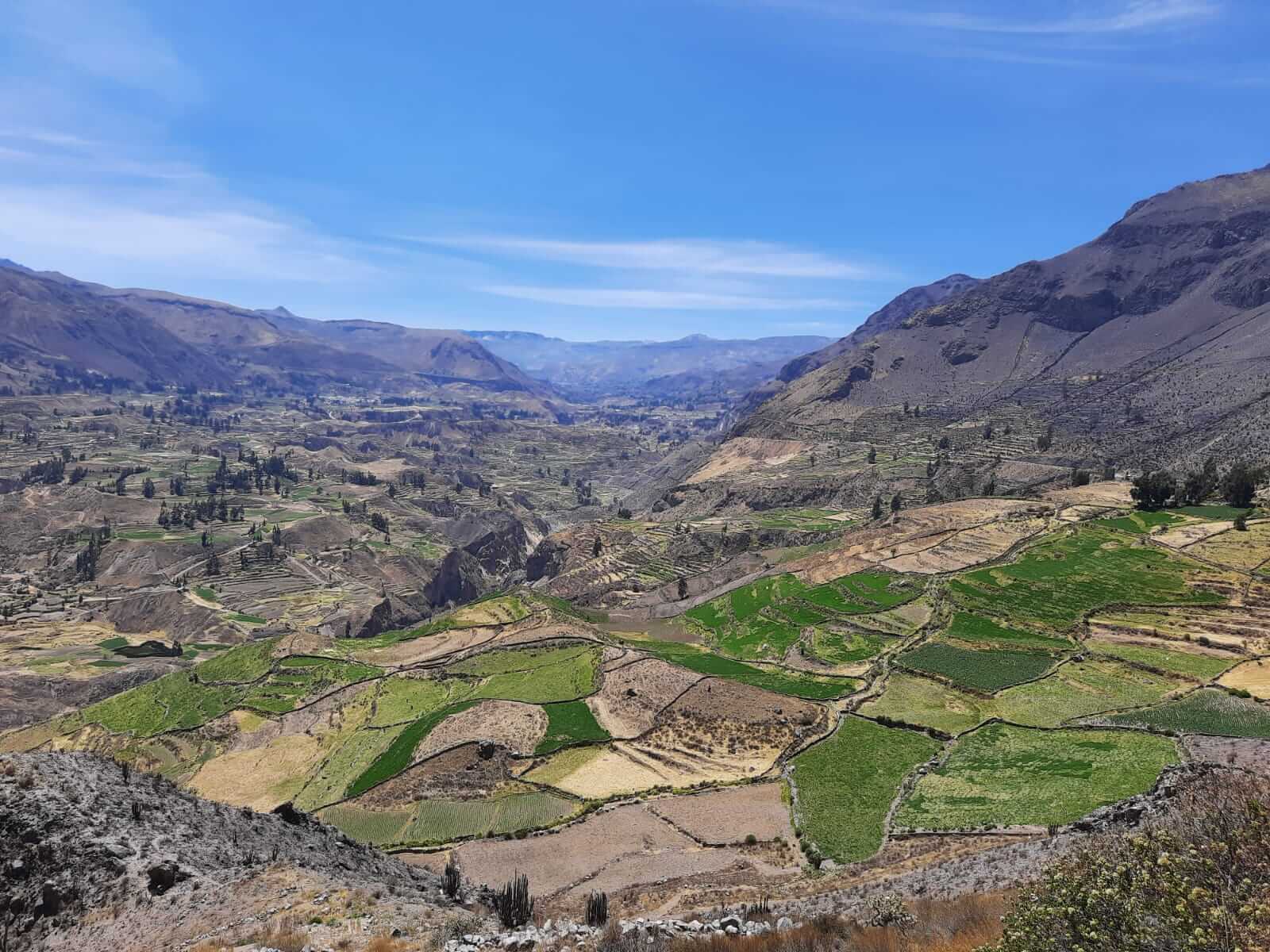 A Covid-free environment in the Colca Canyon of Peru | RESPONSible Travel Peru