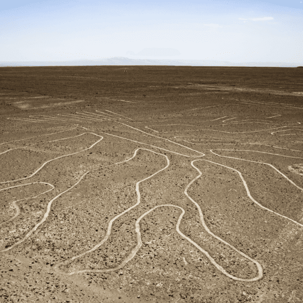The "tree" is one of the many lines in the desert of Nazca | RESPONSible Travel Peru