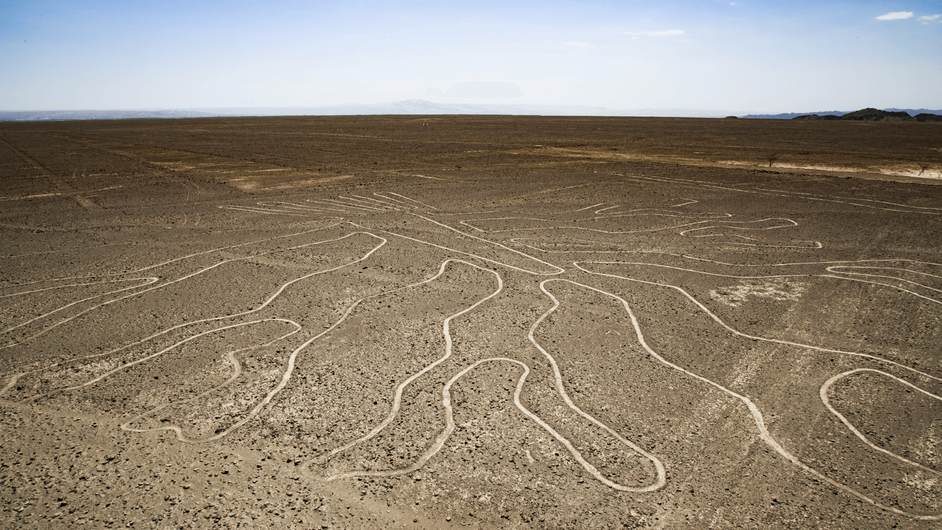 11The "tree" is one of the many lines in the desert of Nazca | RESPONSible Travel Peru