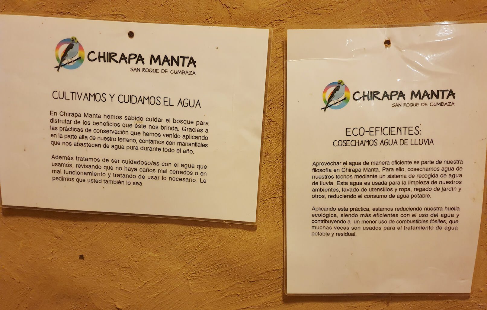 Examples of great sustainable practices in jungle accommodations. Chirapa Manta Lodge in Tarapoto, Northern Peru.