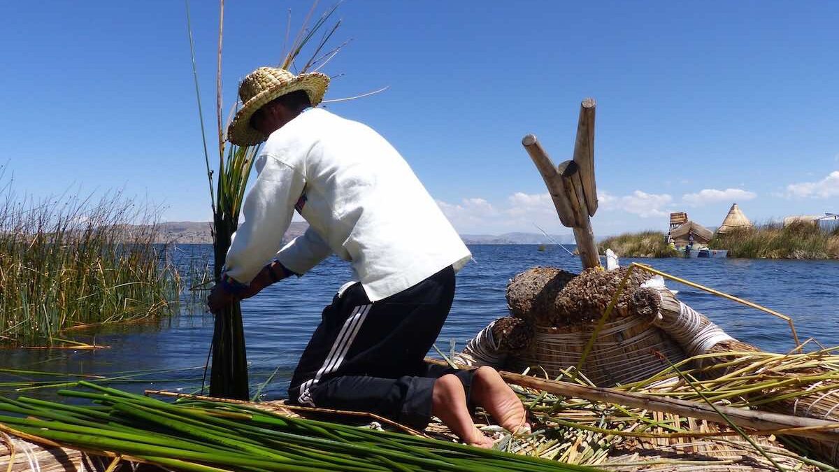Man working with reeds by water