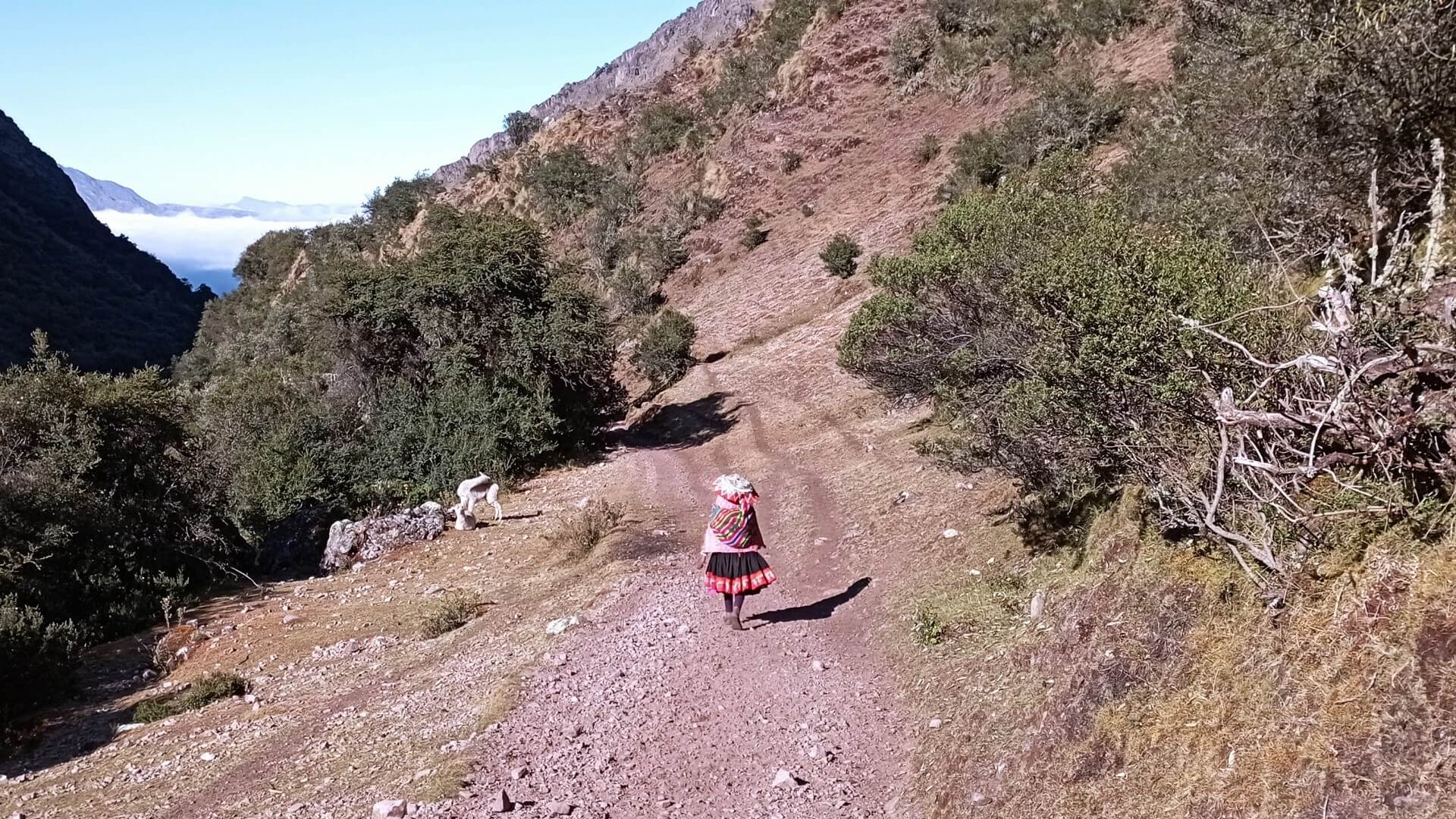 Local Woman Lares