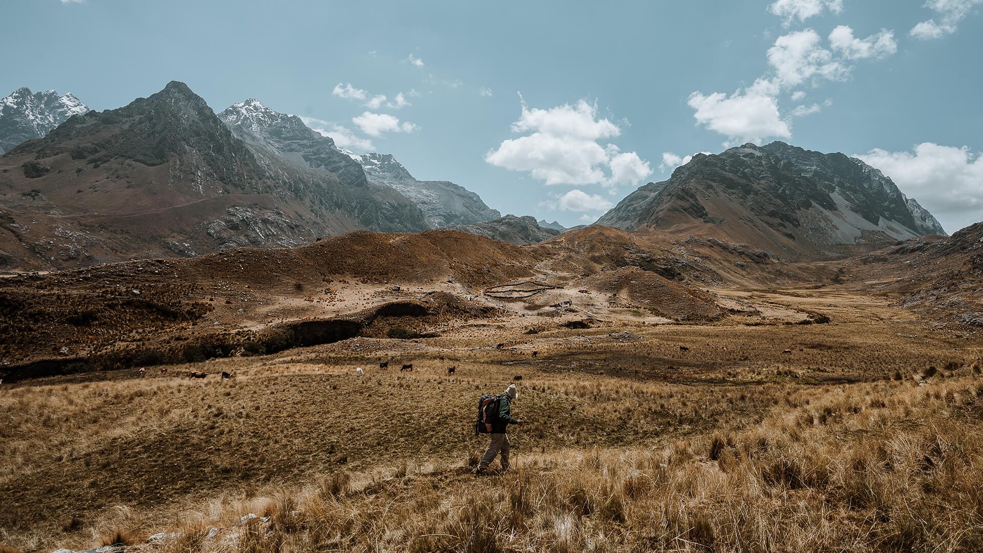 Man trekking the Andean tundra or Puna | Llama Trek Olleros to Chavin with RESPONSible Travel Peru | Photo by Bjorn Snelders
