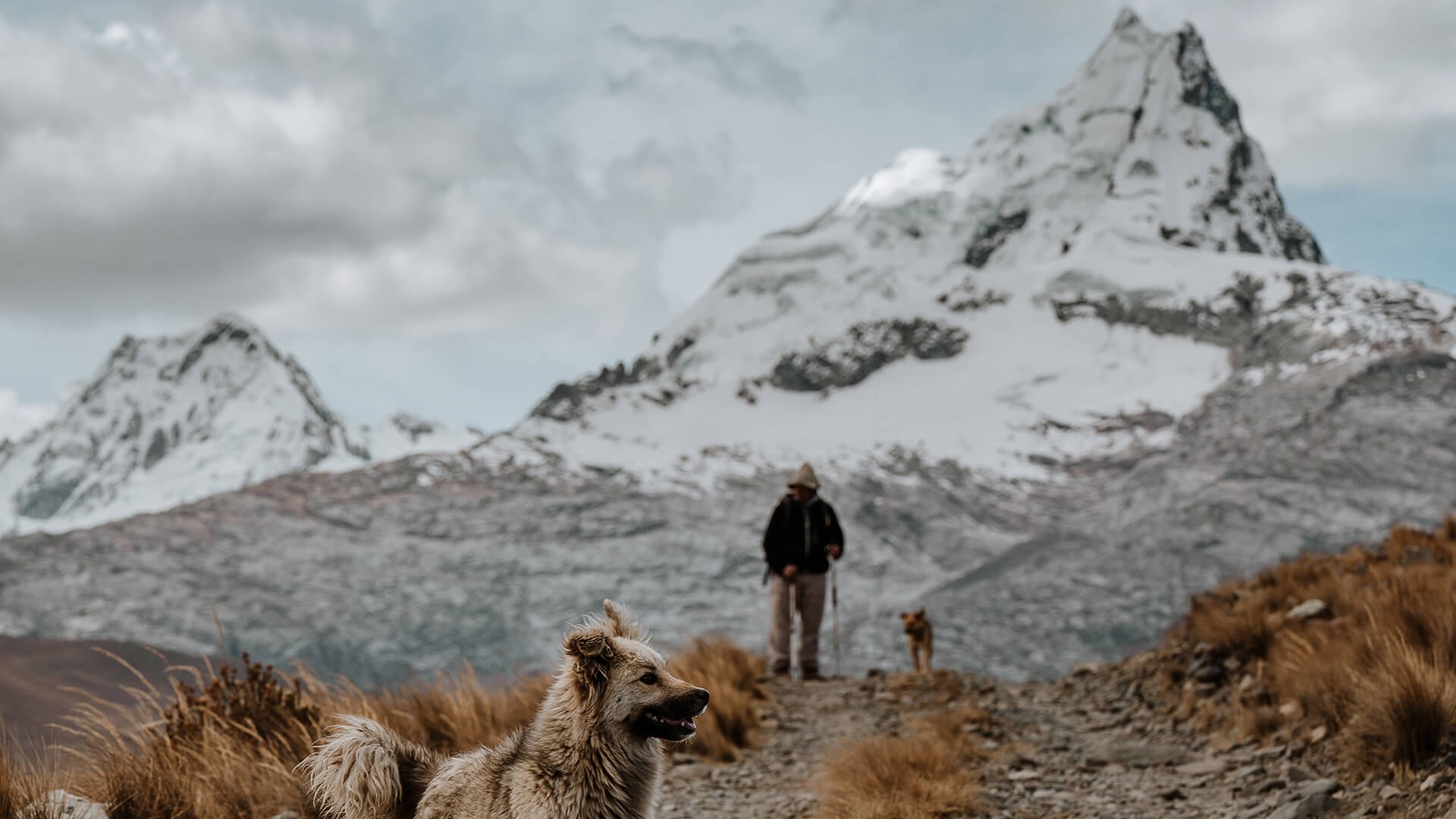 Man and two dogs with background of snowy peak in the Andes of Northern Peru | Llama Trek Olleros to Chavin with RESPONSible Travel Peru | Photo by Bjorn Snelders